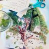 ⁦עץ משפחה⁩ – תמונה ⁦7⁩