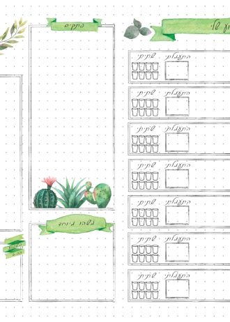 לוח תכנון שבועי בוגר